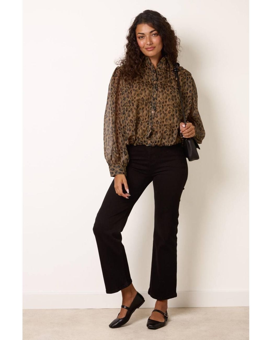 Blue Vanilla Brown Long Sleeve Collar Blouse