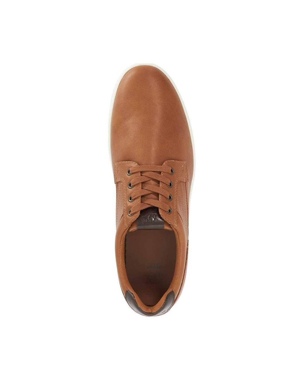 Dune Brown 'Tommus' Trainers for men