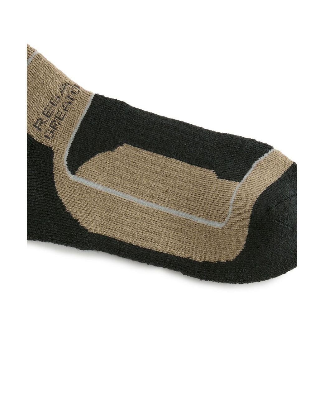 Regatta Brown 2 Pack Samaris 3 Season Walking Sock