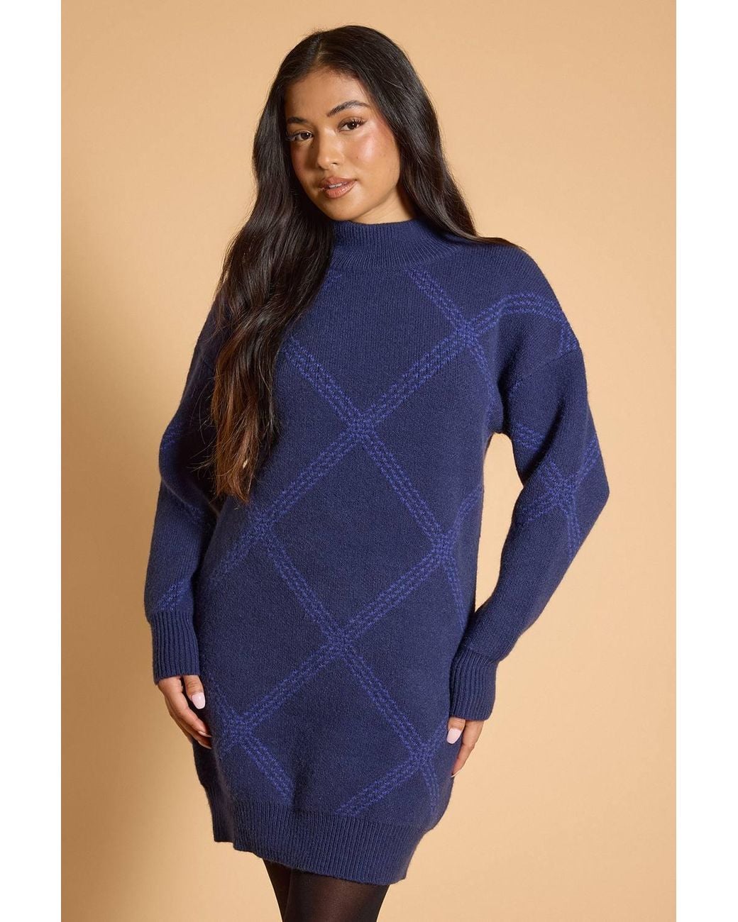 Dorothy Perkins Blue Petite High Neck Print Mini Dress