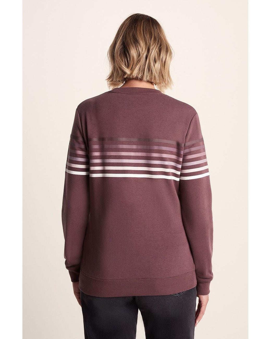 TOG24 Purple 'Bayman' Supersoft Sweat