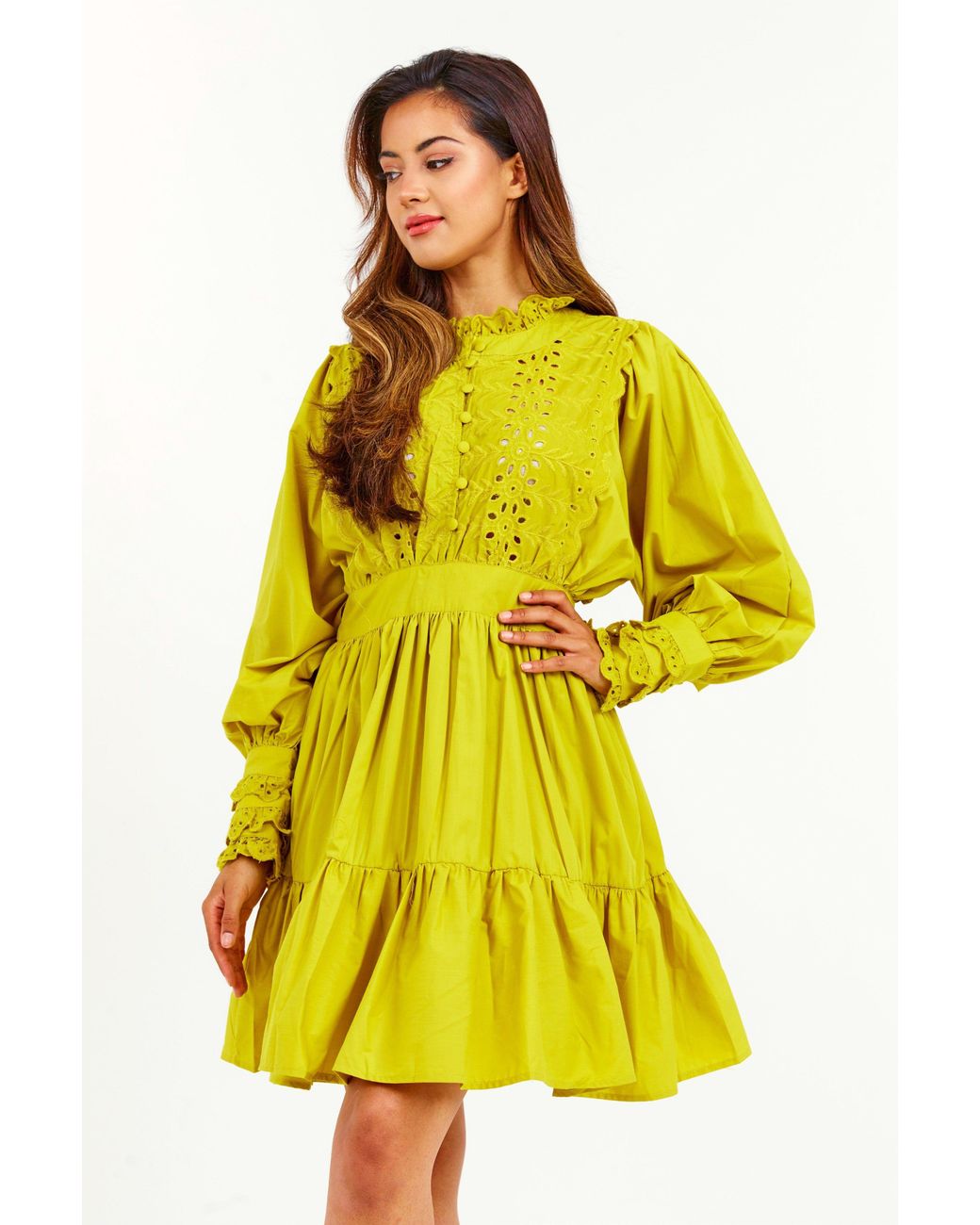 LuvForever Fashion Yellow Embroidered Ruffle Mini Dress