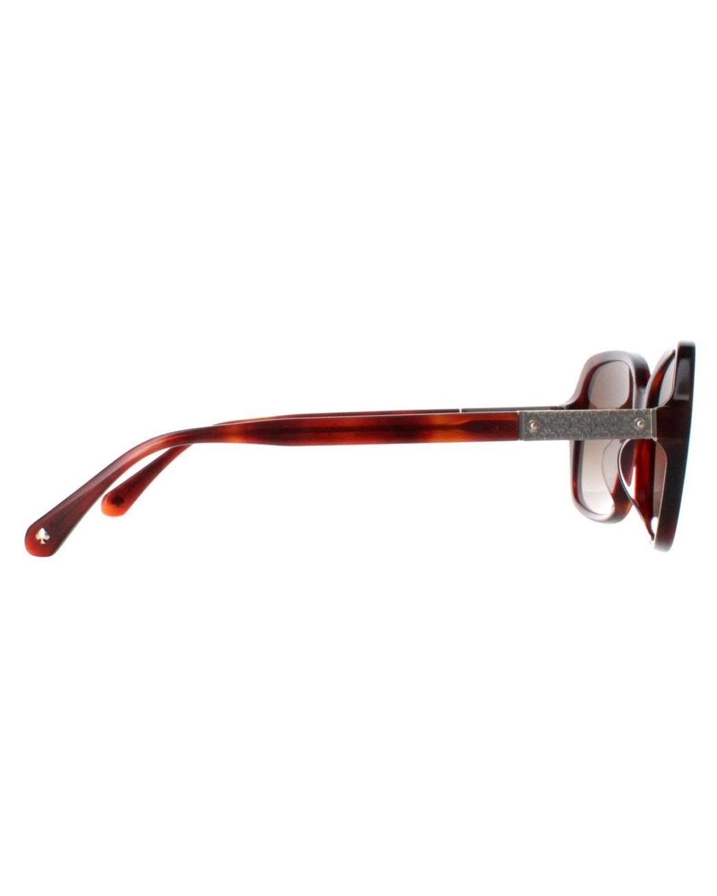 Kate Spade Brown Buttefly Havana Gradient Polarized Yvette/S