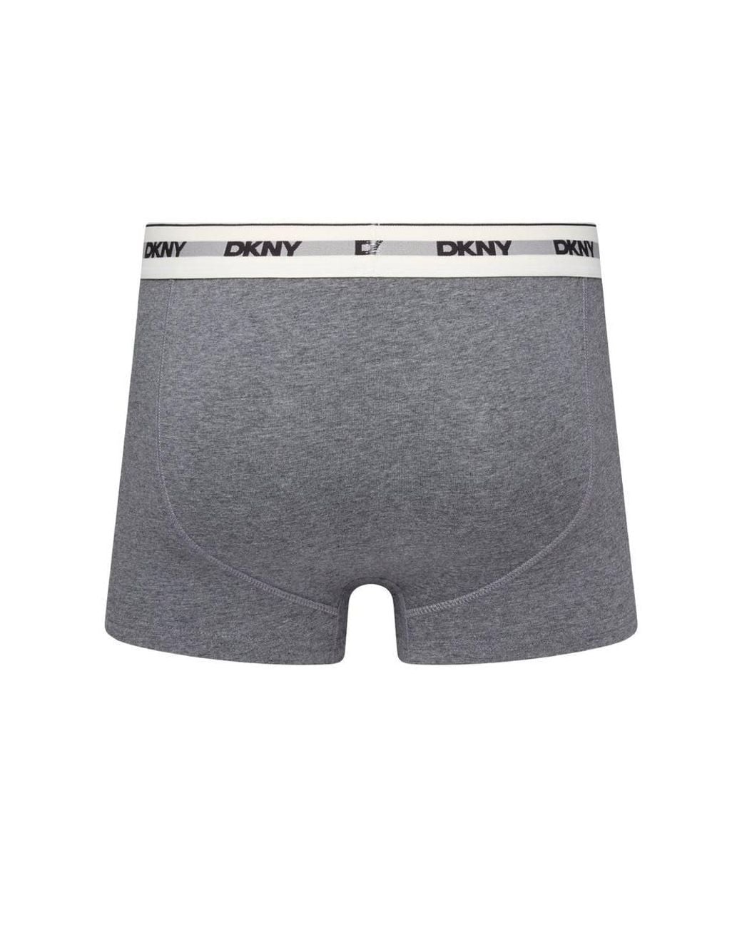 DKNY Gray 3 Pack Tuscumbia Trunks for men