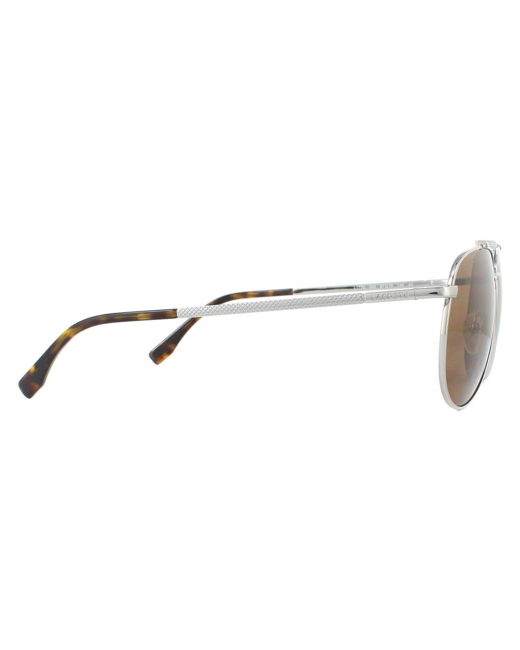 Lacoste Brown Aviator Gunmetal Sunglasses for men