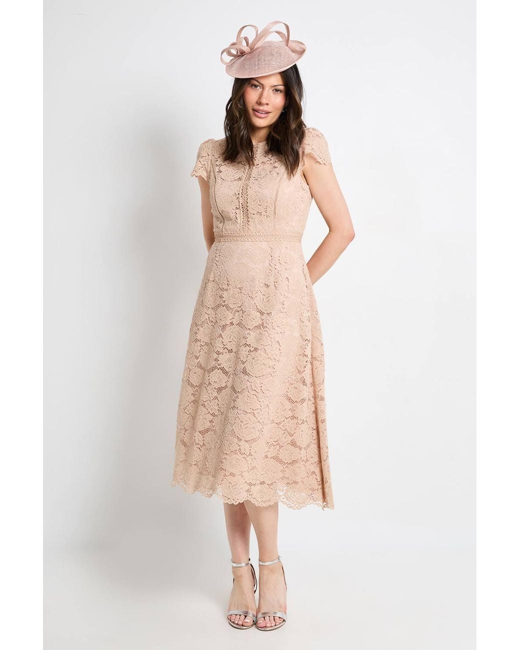 Wallis Natural Lace Fit & Flare Midi Dress