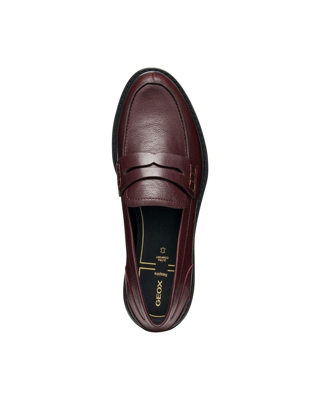 Geox Brown D Walk Pleasure F Moccasins