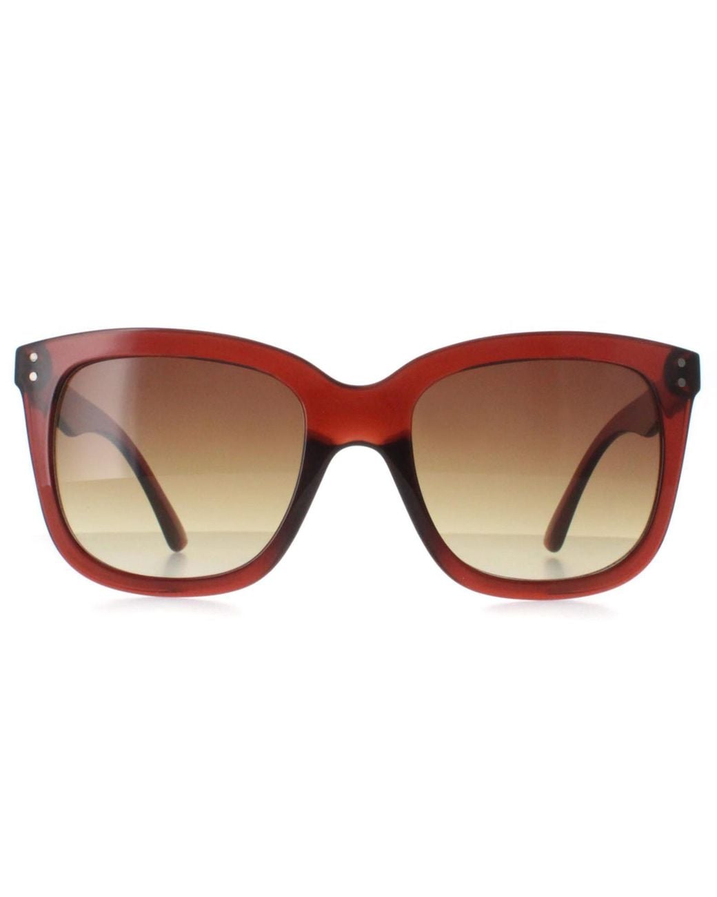 Calvin Klein Brown Square Transparent Gradient Ck22550S