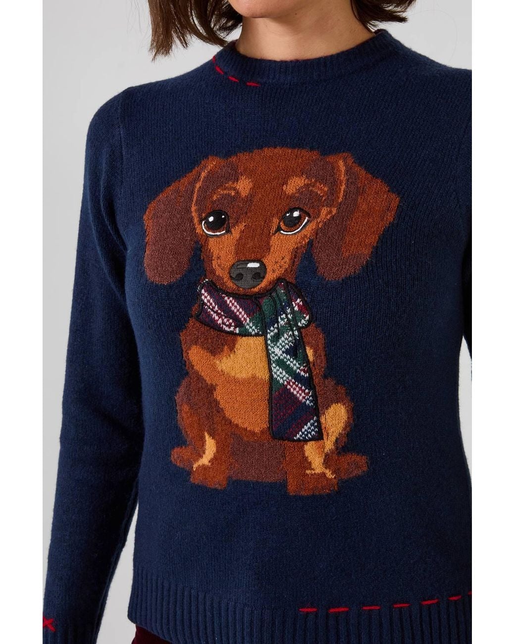 Joe Browns Blue Trixie Embroidered Sausage Dog Jumper