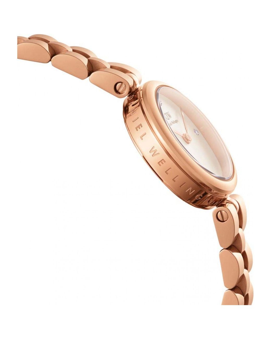 Daniel Wellington Metallic Dw00100717 Elan 22Mm Quartz Watch