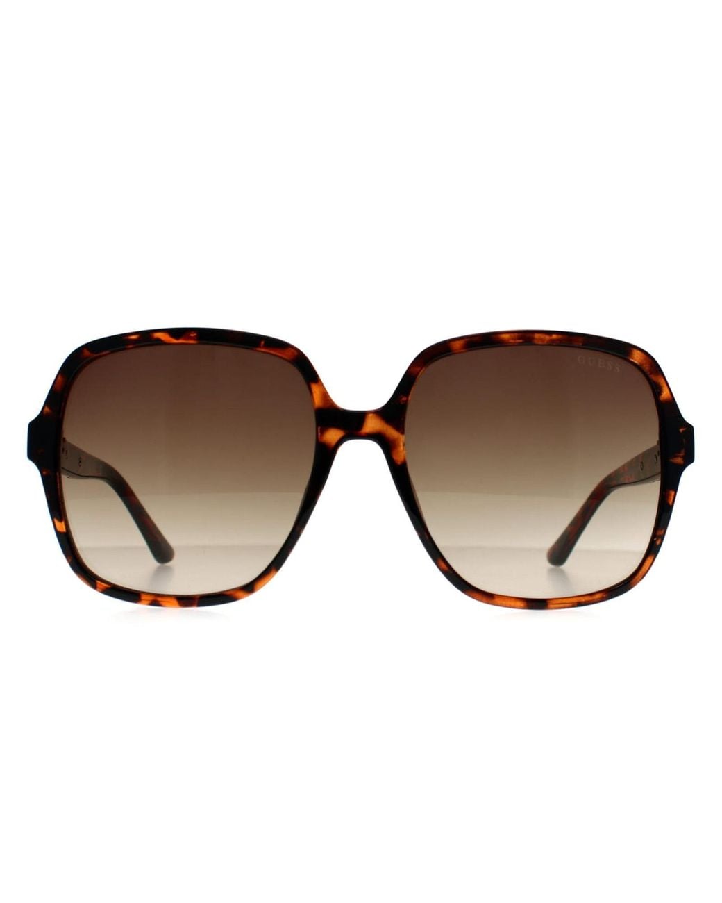 Guess Brown Butterfly Dark Havana Gradient Gf6203