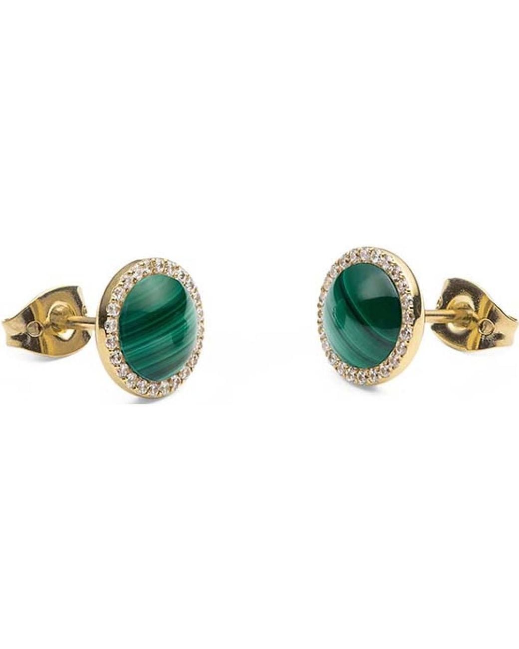 Daniel Wellington Green Dw00401407 Audrey Pair Of Earrings