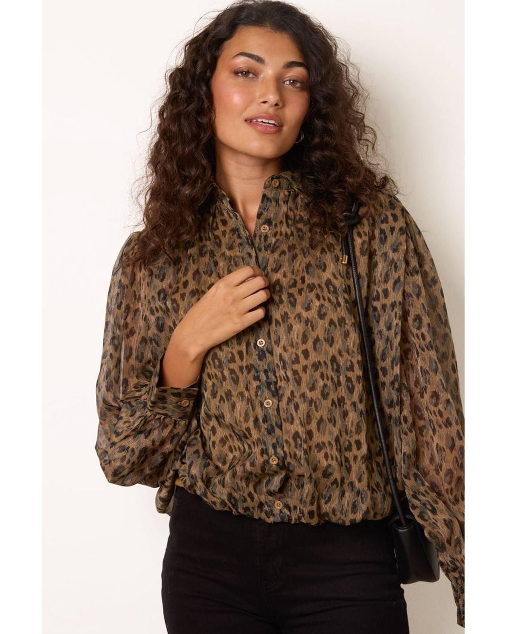 Blue Vanilla Brown Long Sleeve Collar Blouse