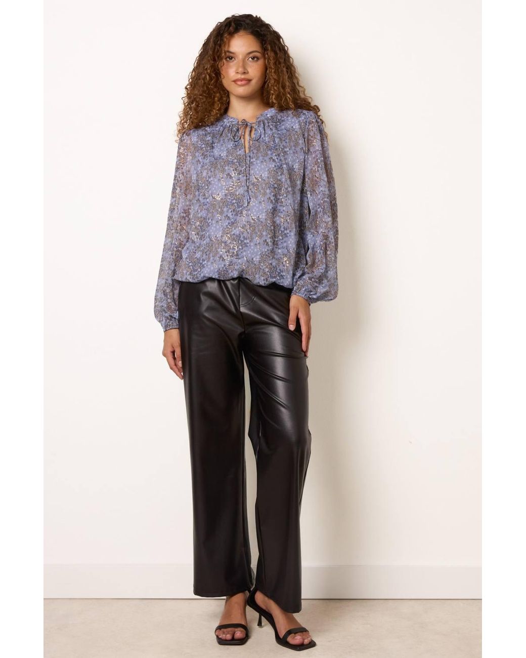 Blue Vanilla Purple Long Sleeve V-Neck Blouse