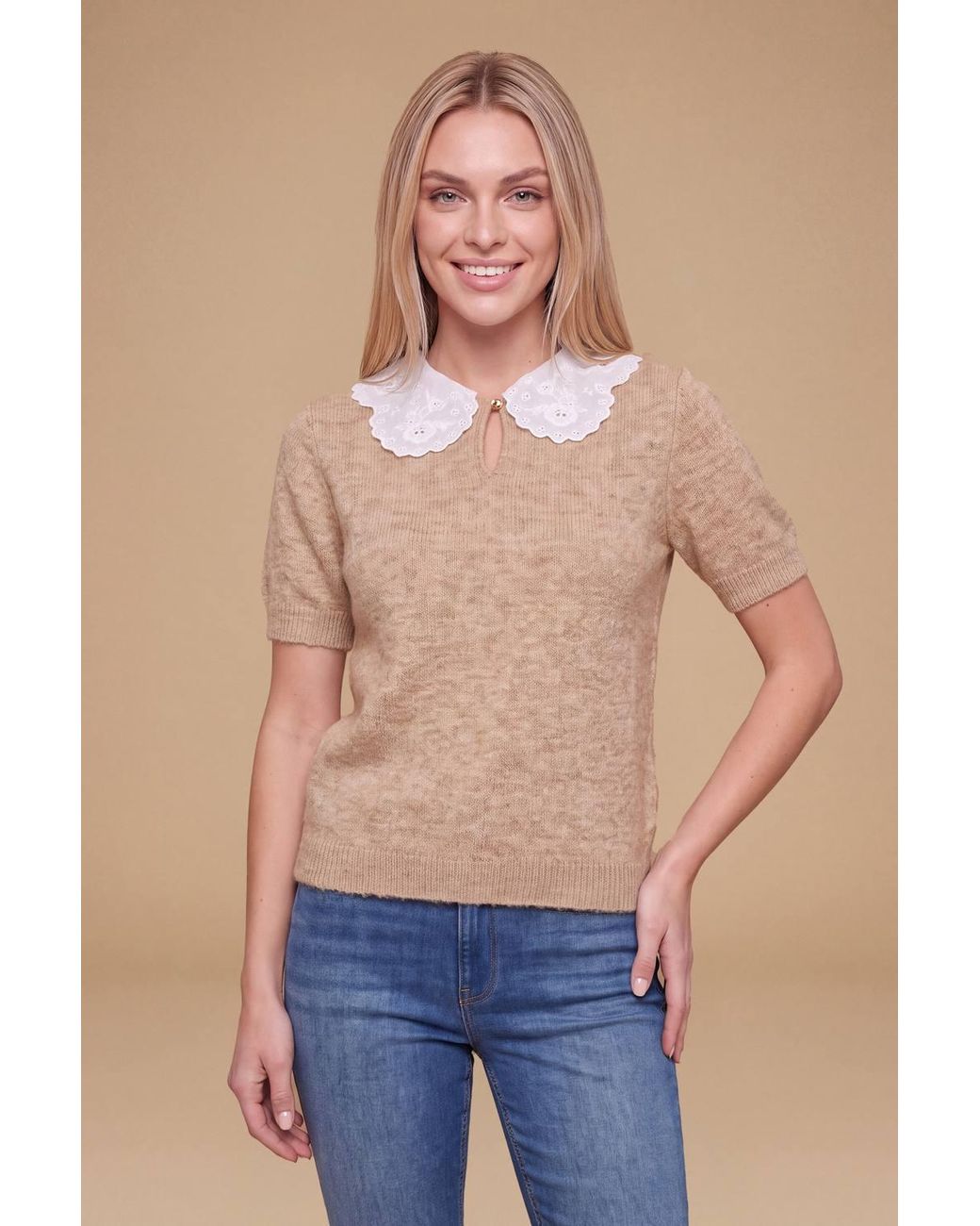 Dorothy Perkins Blue Broderie Woven Collar Detail Crop Knitted Top