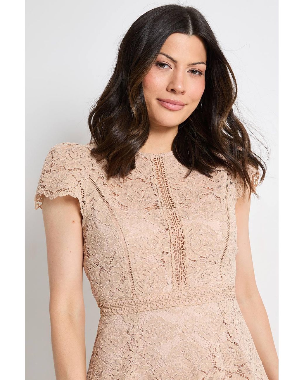 Wallis Natural Lace Fit & Flare Midi Dress