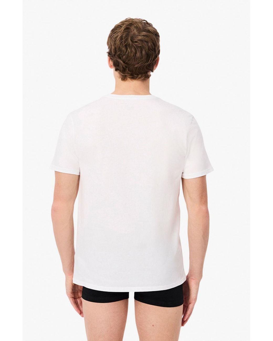 Lacoste Black T-Shirt Multi Pack for men