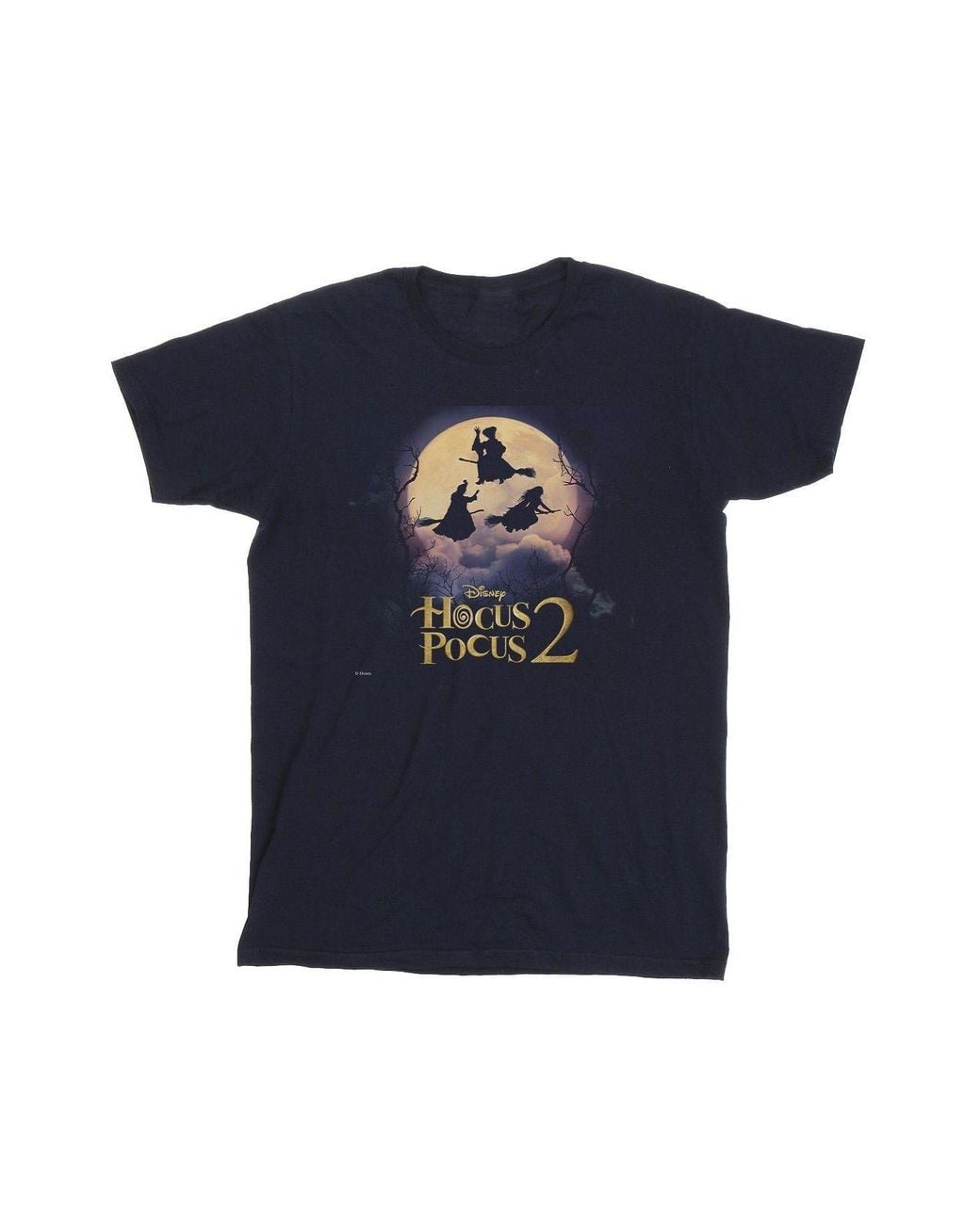 Disney Blue Hocus Pocus Witches Flying T-Shirt for men
