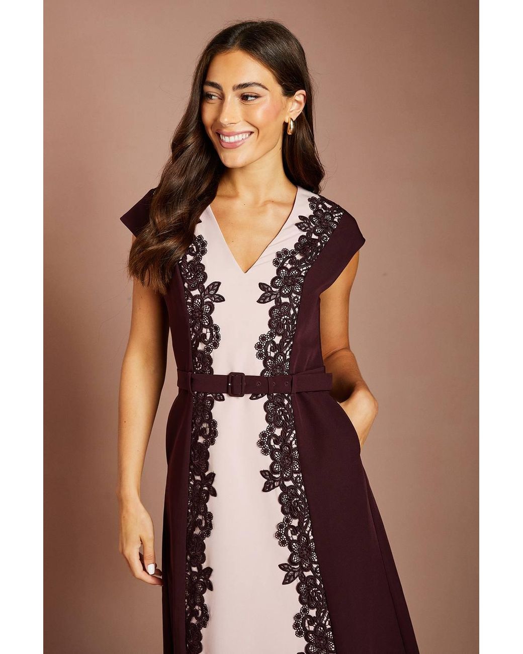 Coast Brown Lace Trim Colour Block Belted Midi Dress