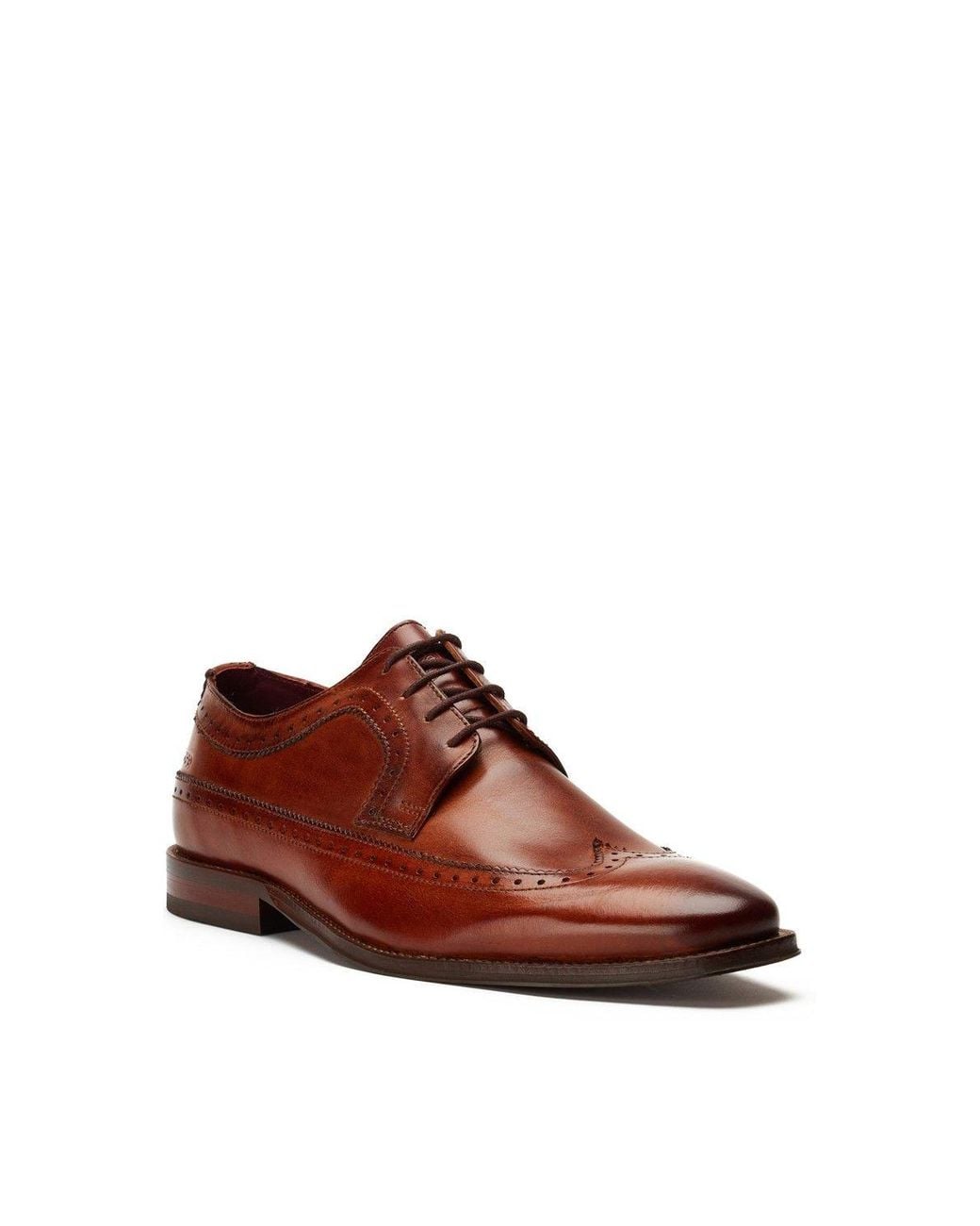 Base London Brown Havisham Plain Toe Derby Shoe for men
