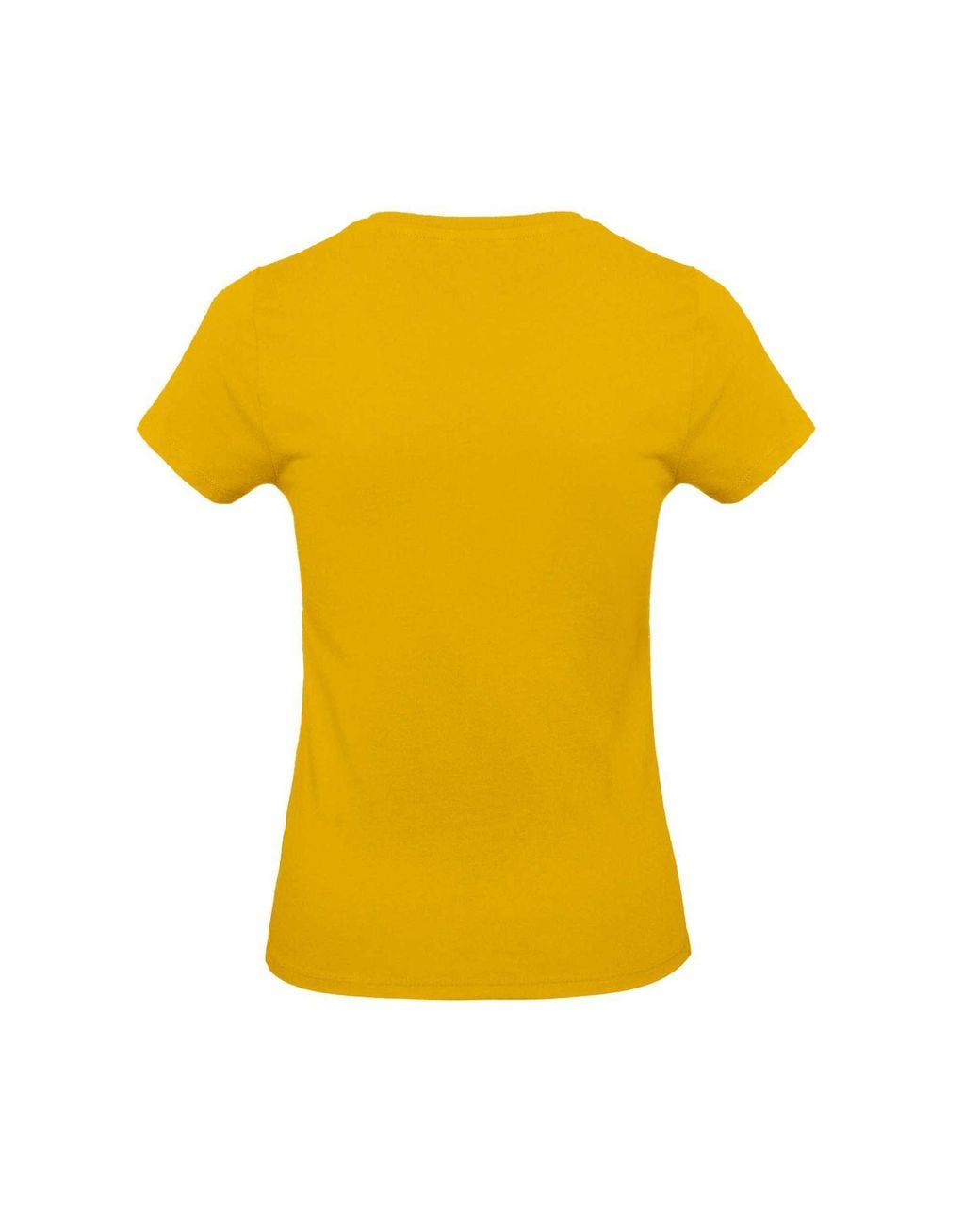 Bc Yellow E190 T-Shirt