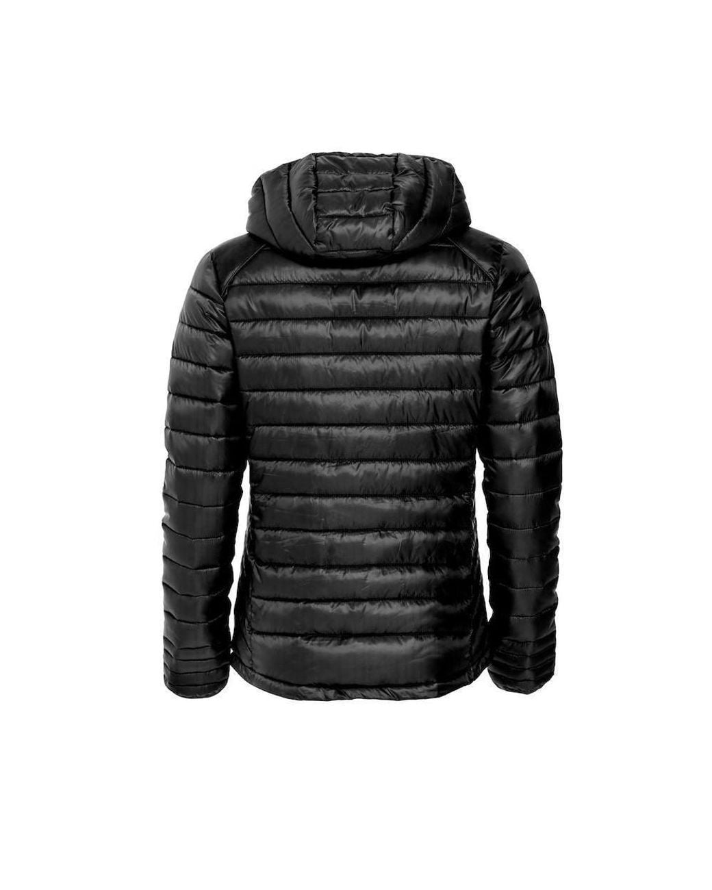 Clique Black Hudson Padded Jacket