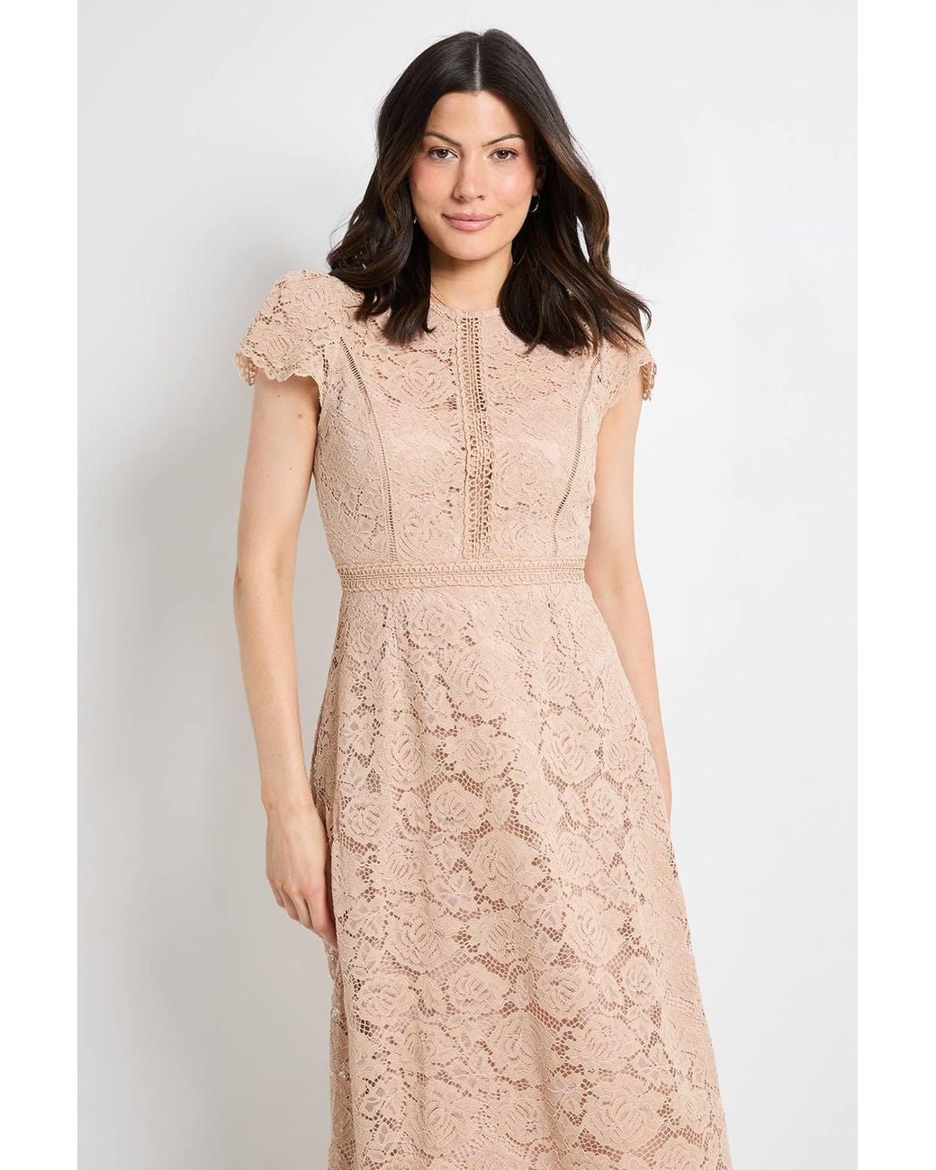 Wallis Natural Lace Fit & Flare Midi Dress