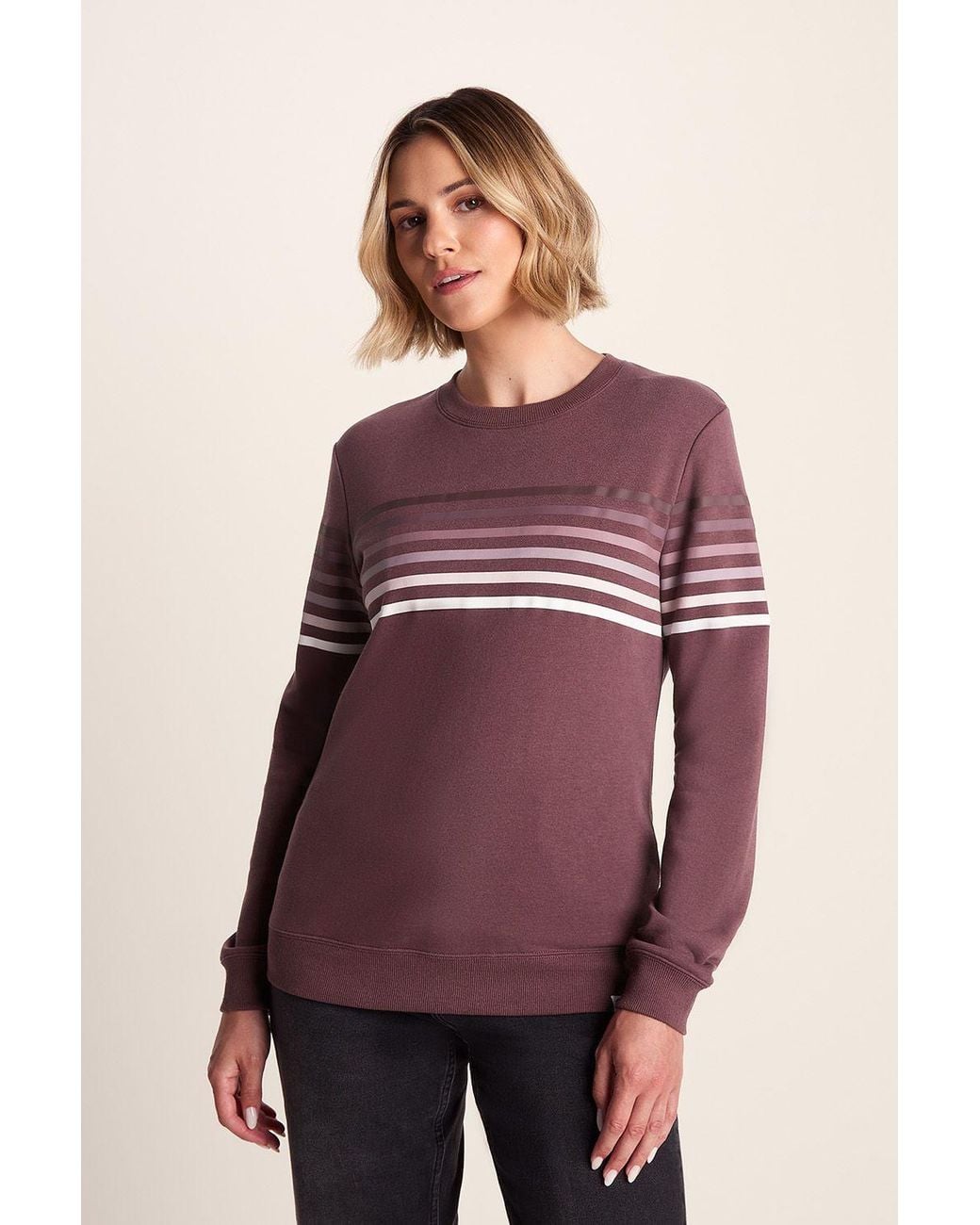 TOG24 Purple 'Bayman' Supersoft Sweat