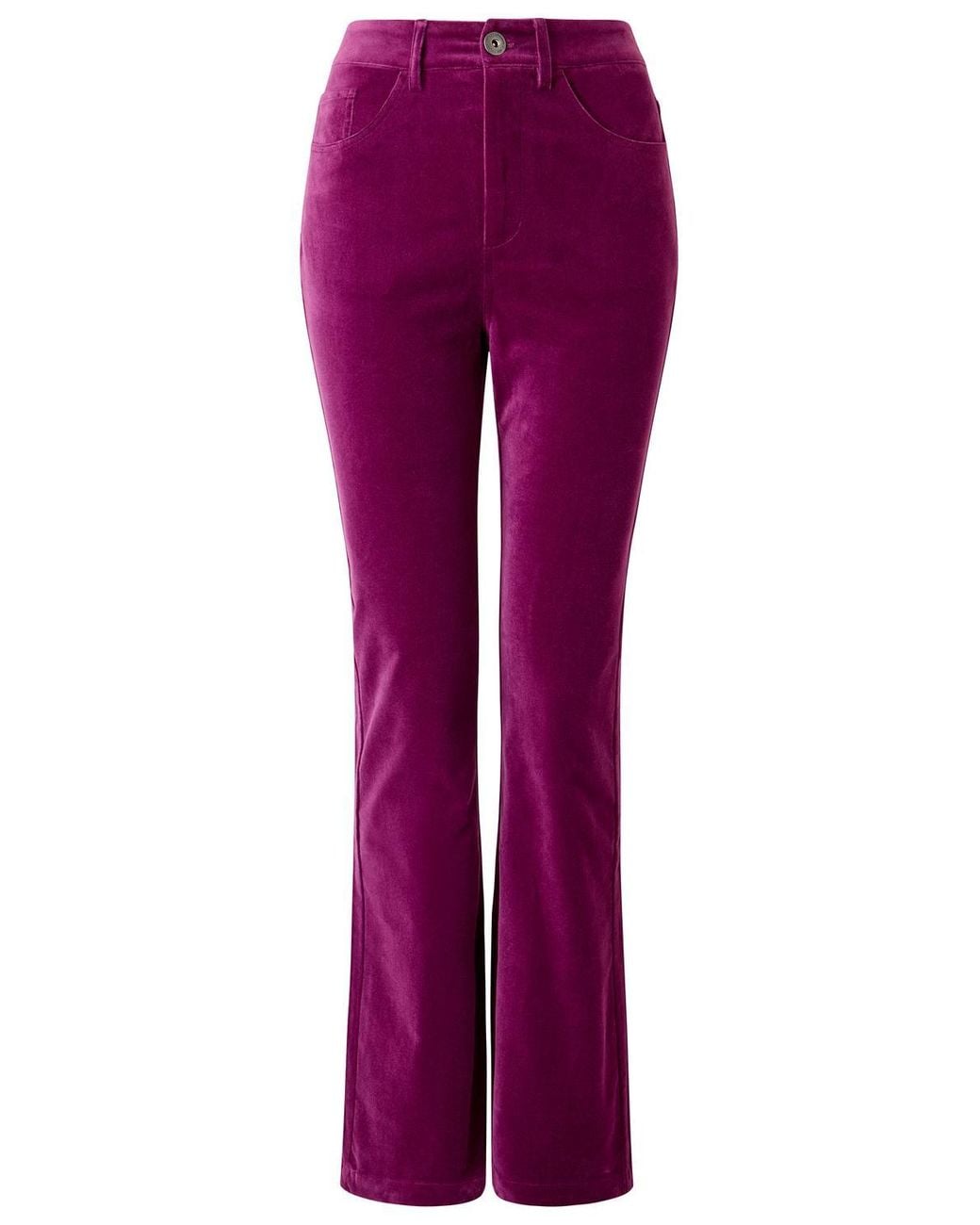Joe Browns Purple Luxurious Bootcut Moleskin Trousers