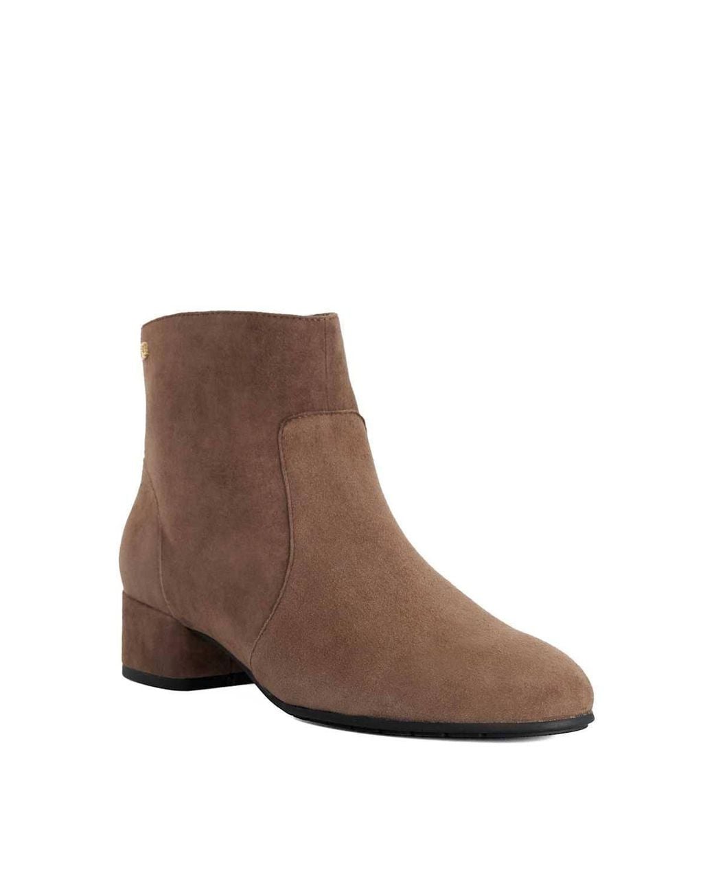 Dune Brown 'Pardys' Suede Ankle Boots