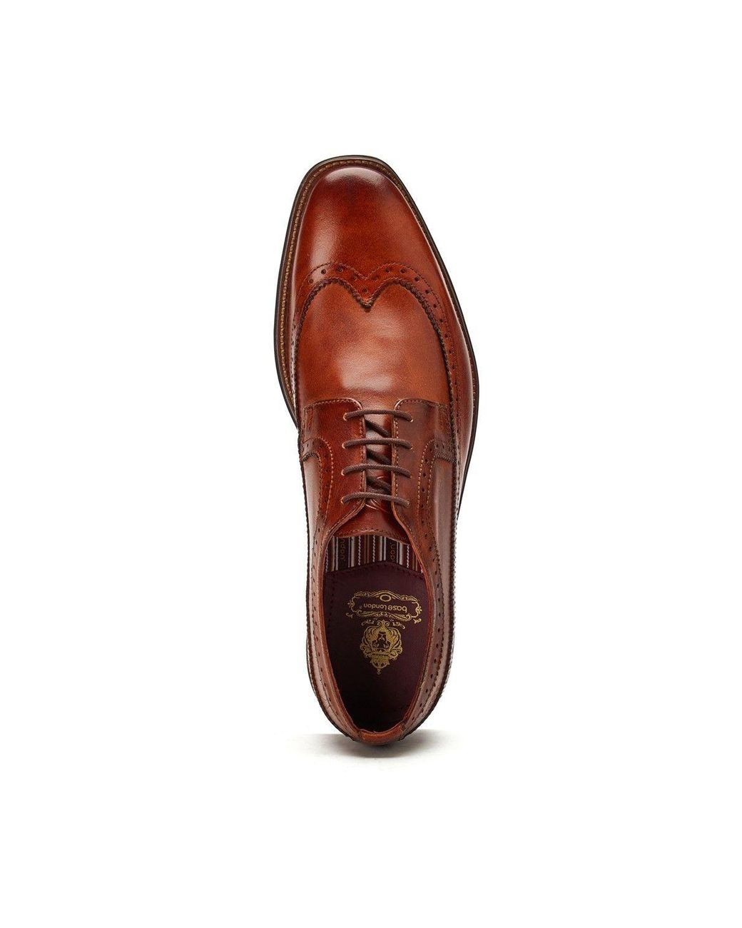 Base London Brown Havisham Plain Toe Derby Shoe for men
