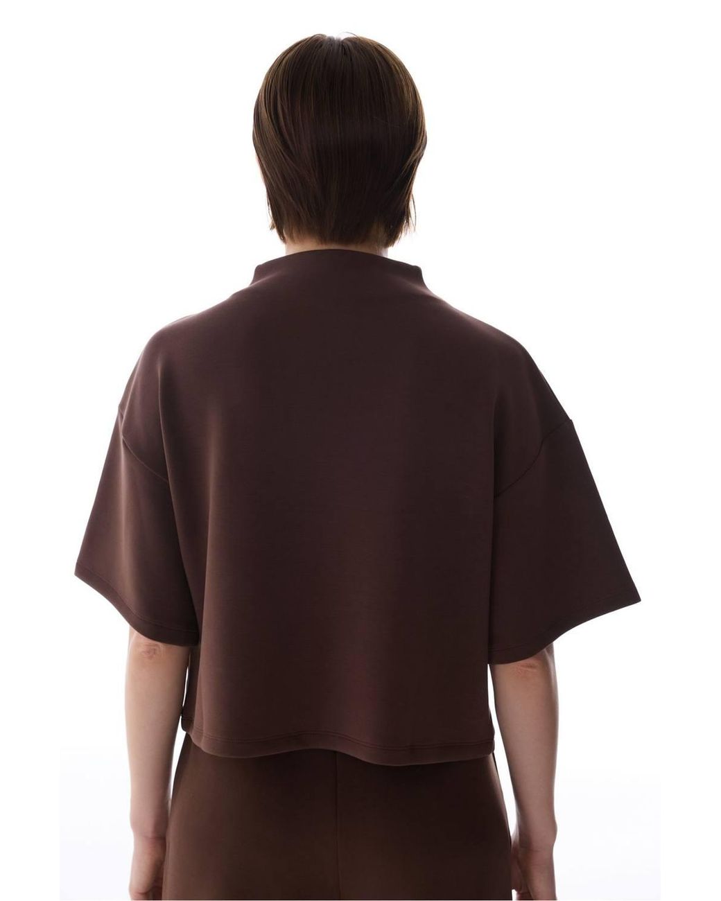 Penti Brown Crew Neck Crop Modal Top