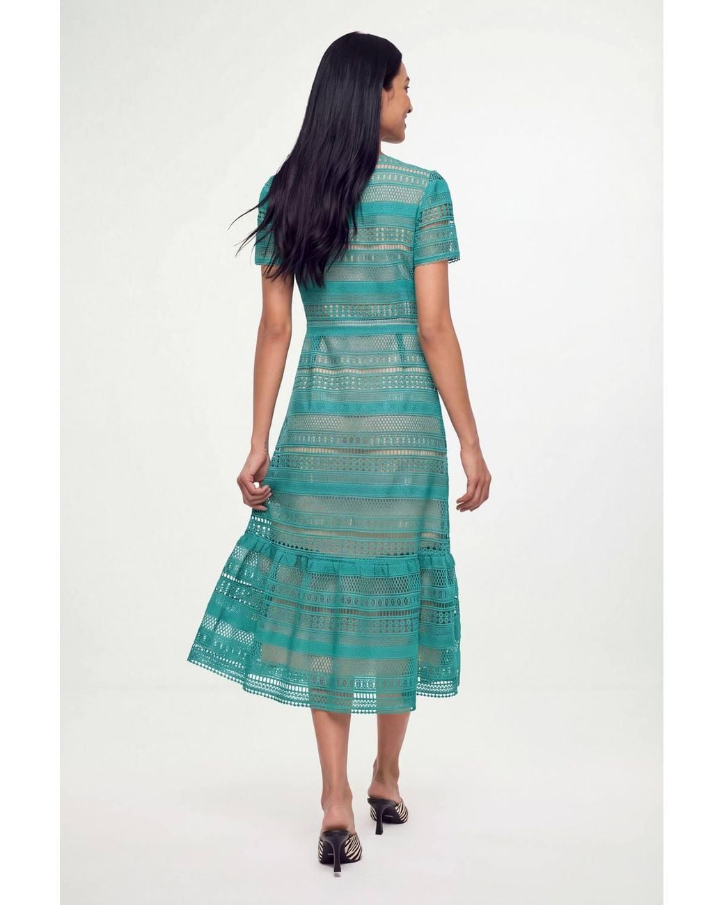 Wallis Green Petite Lace Fit & Flare Midi Dress