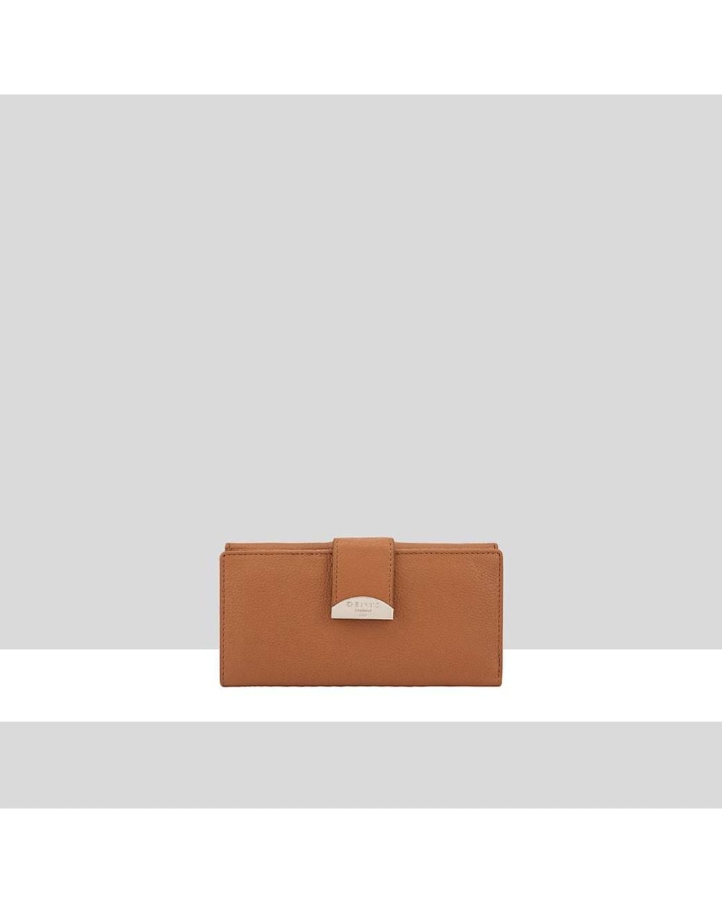 Dents Brown Carman Leather Purse