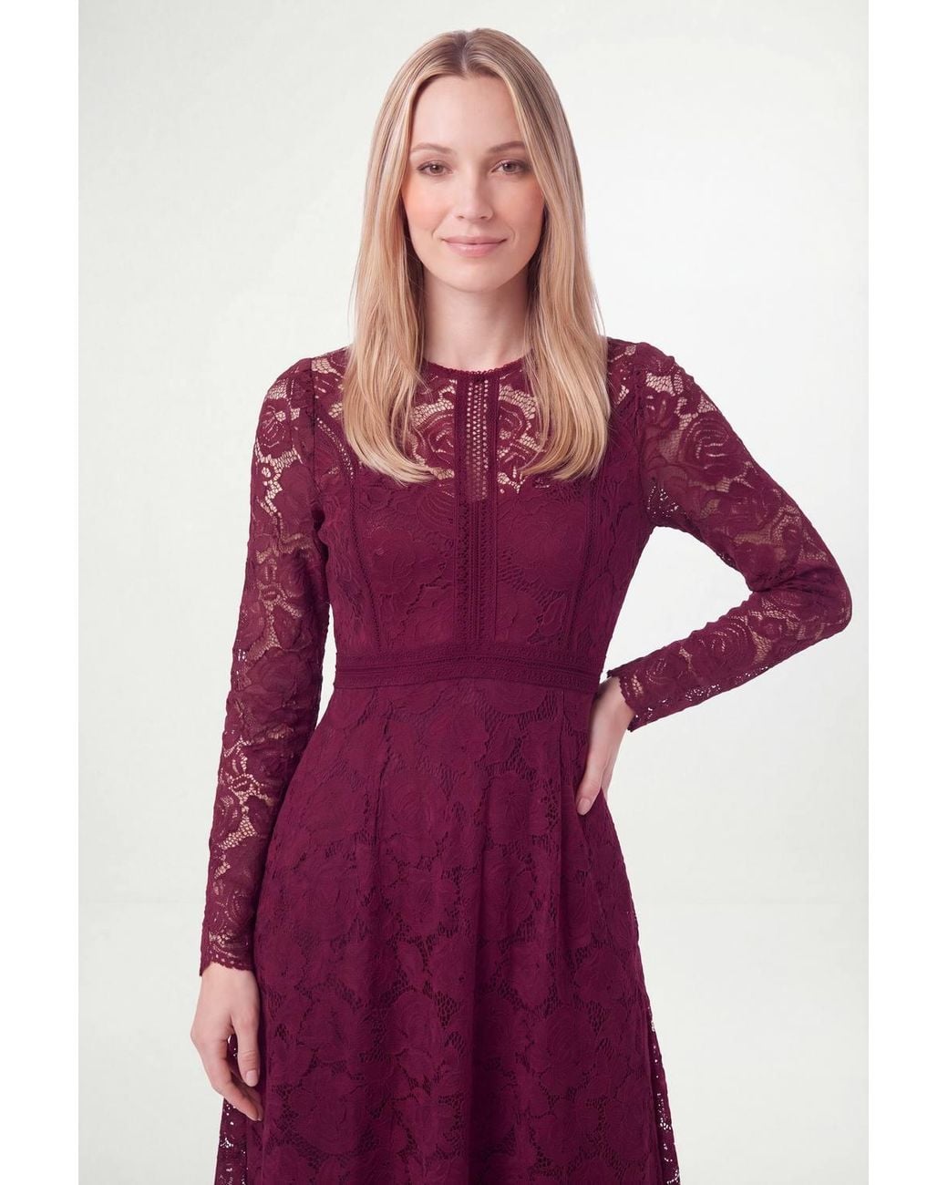 Wallis Purple Petite Lace Fit & Flare Midi Dress