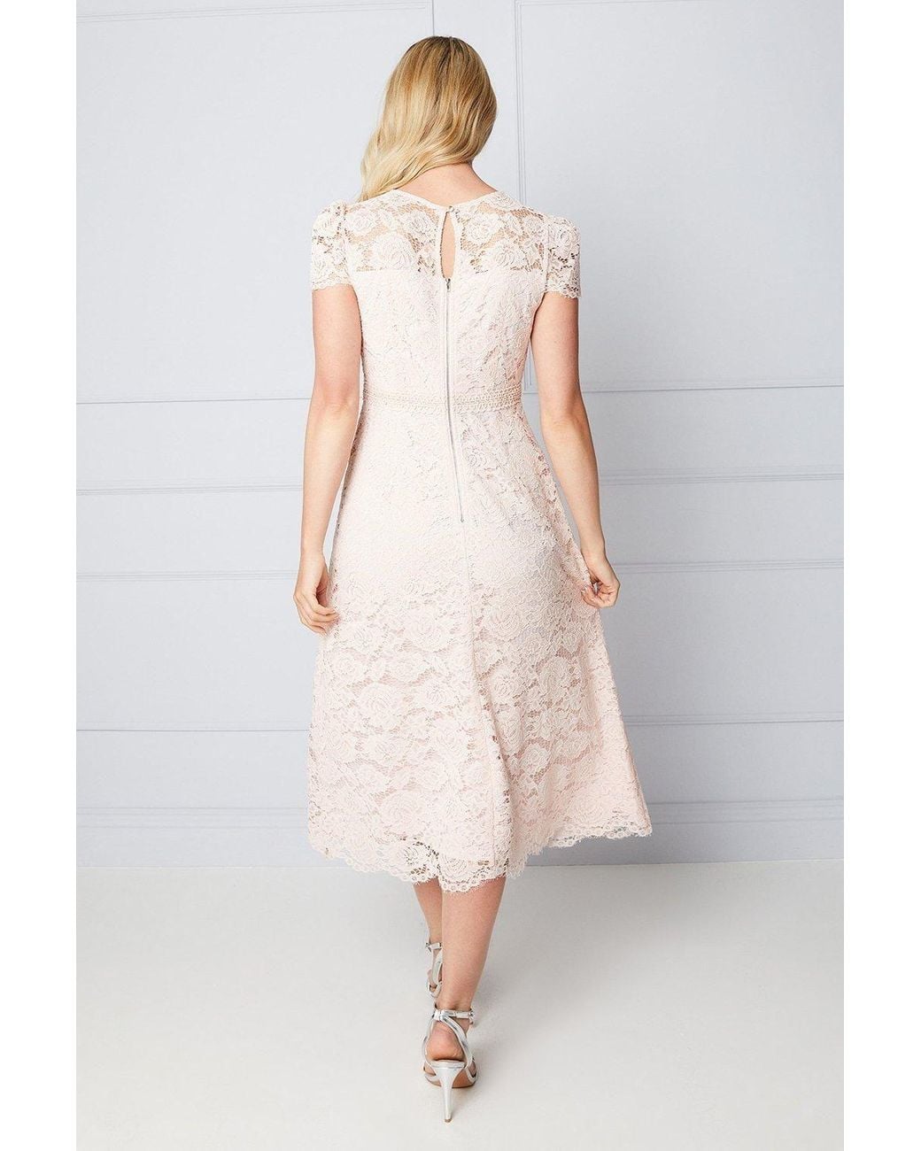 Wallis Natural Lace Fit & Flare Midi Dress