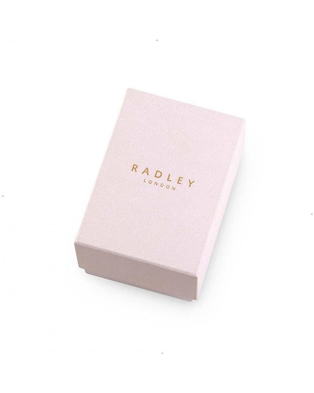 Radley Metallic Ry4691 22Mm Quartz Watch
