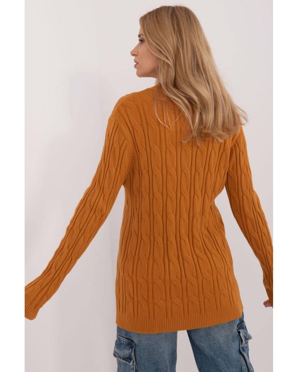 Love Lace Brown Textured Viscose Nylon Pbt Casual Sweater Style 199530