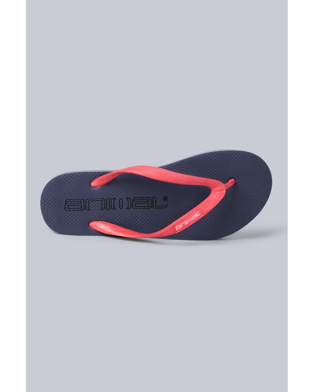 Animal Gray 'Oceana' Soft Lightweight Striped Beach Pool Slip On Flip Flops