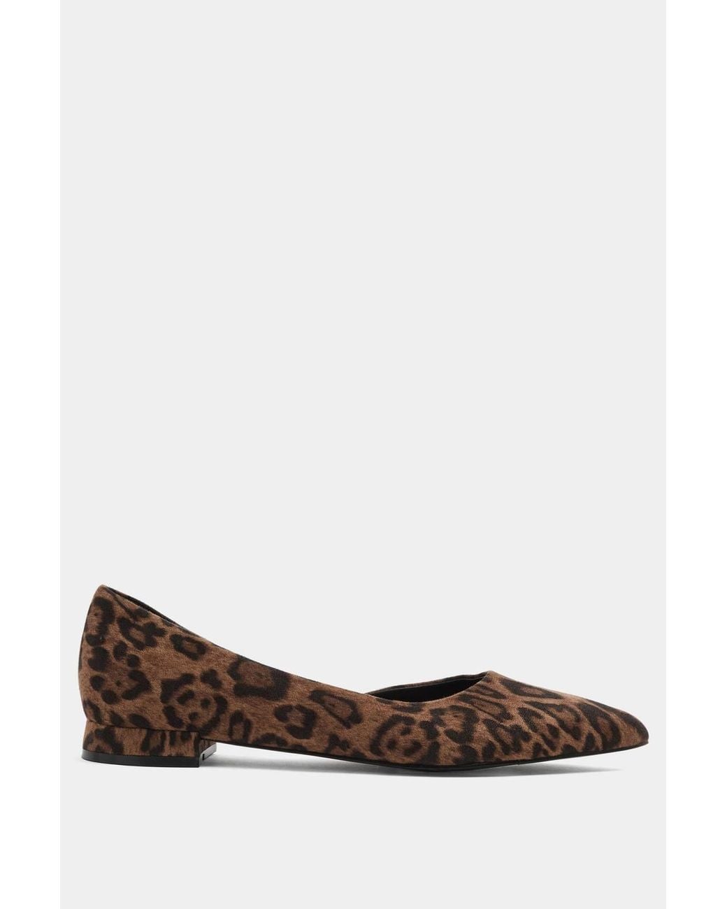 Long Tall Sally Blue Leopard Pointed Ballerina Pumps