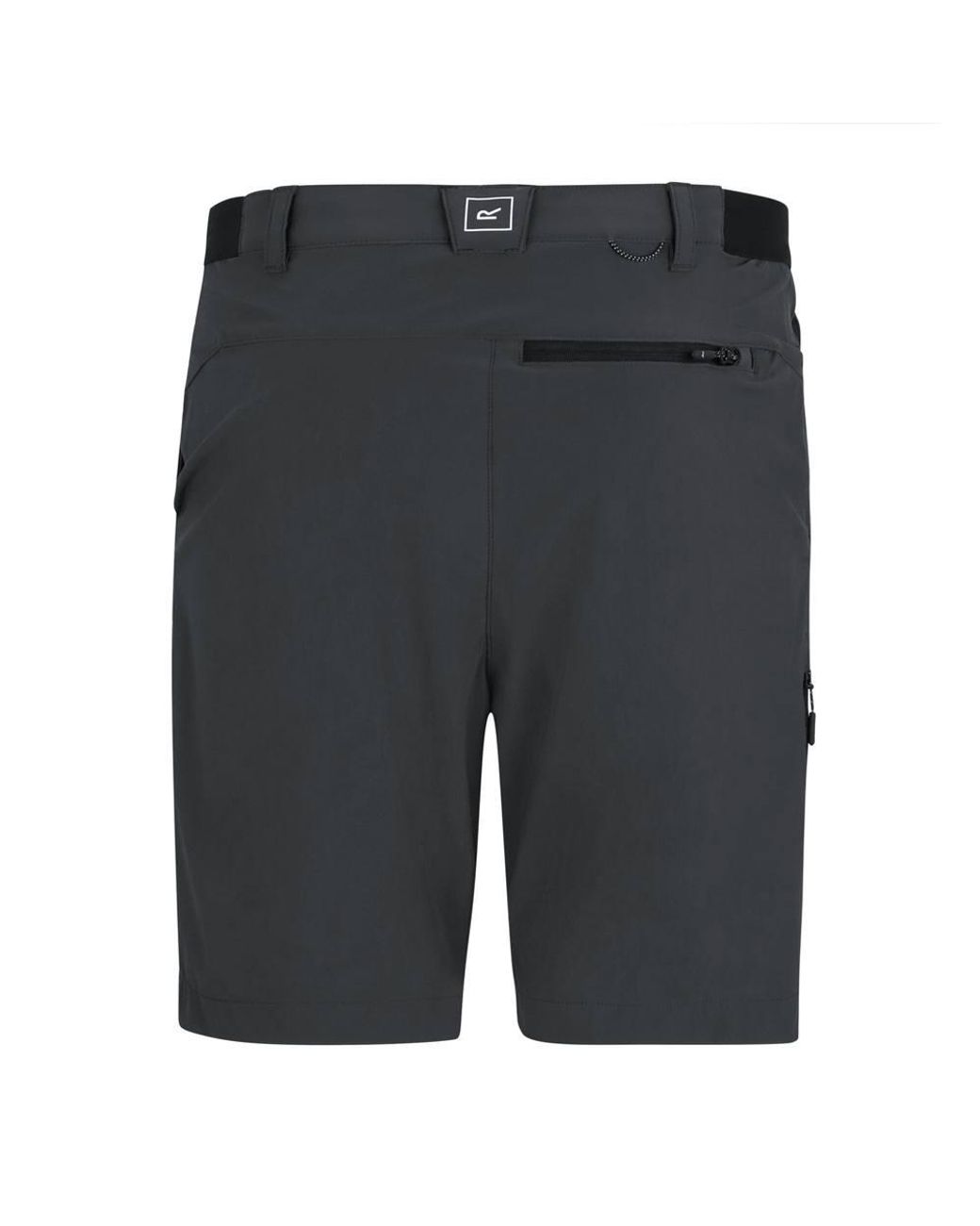 Regatta Black Anti-Insect Travel Light Shorts for men