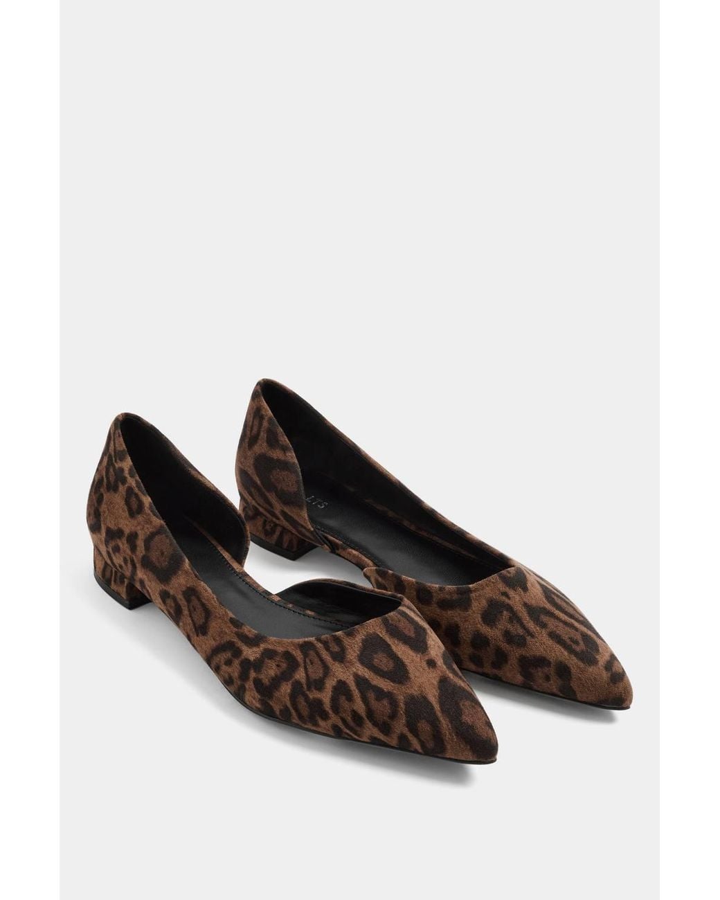 Long Tall Sally Blue Leopard Pointed Ballerina Pumps