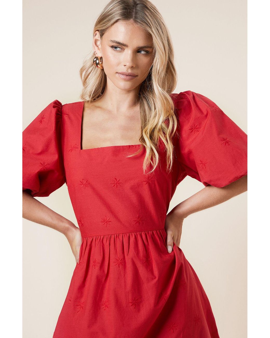 Dorothy Perkins Petite Embroidered Square Neck Mini Dress