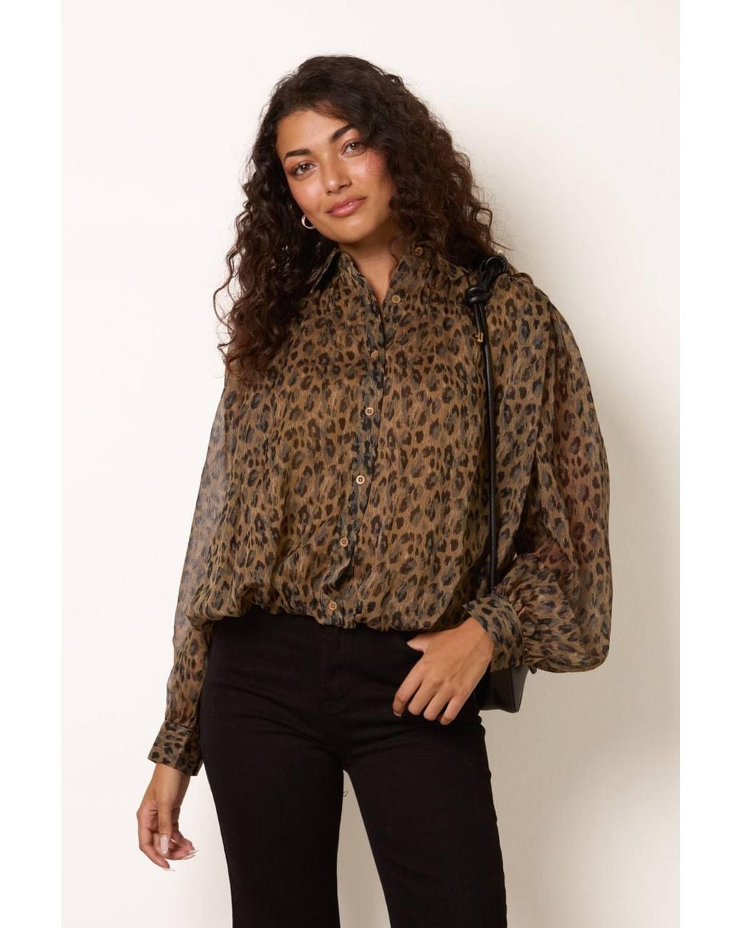 Blue Vanilla Brown Long Sleeve Collar Blouse