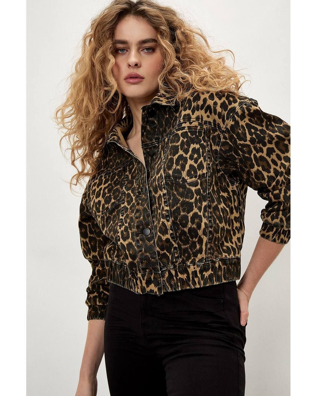 Apricot Brown Leopard Print Denim Crop Jacket