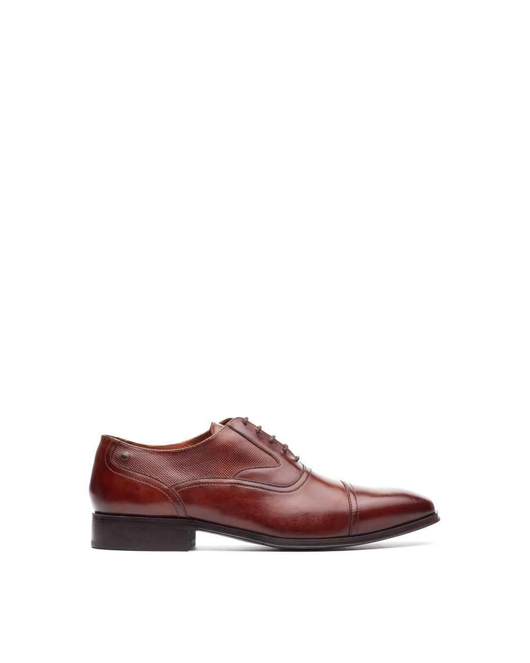 Base London Brown Portico Toe Cap Oxford Shoe for men