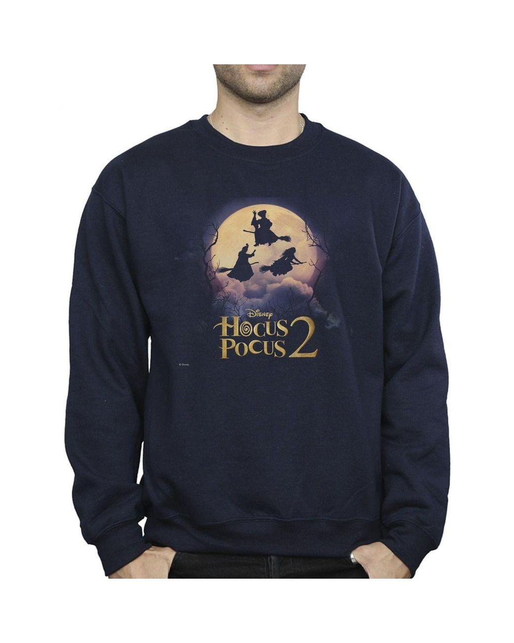 Disney Blue Hocus Pocus Witches Flying Sweatshirt for men