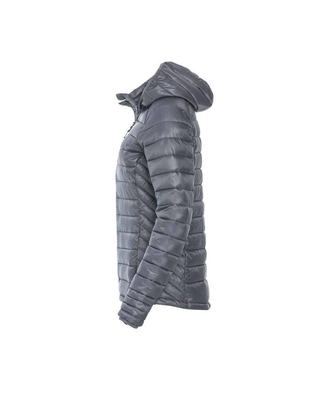 Clique Blue Hudson Padded Jacket