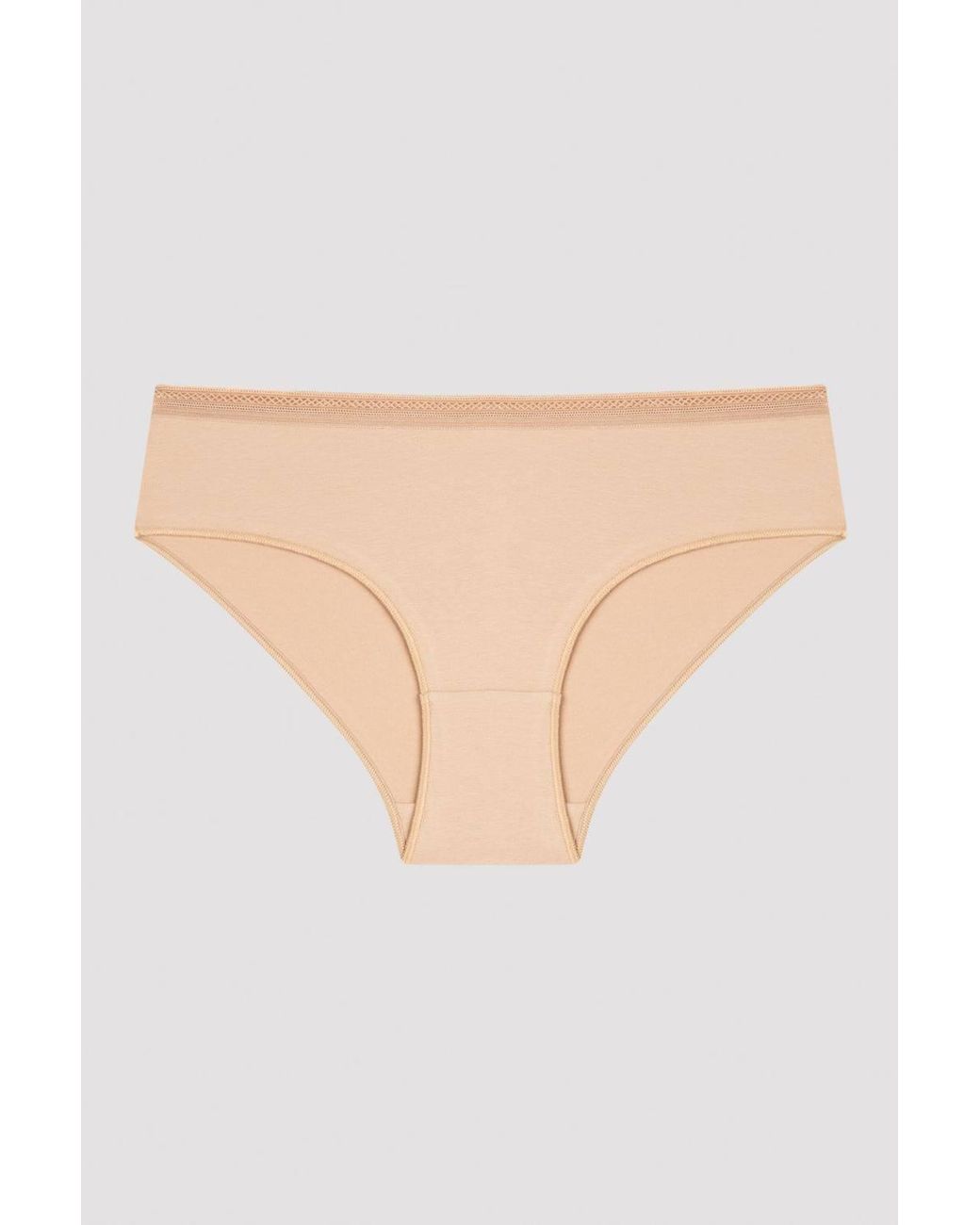 Penti Brown Easy Cotton Trim Hipster Briefs