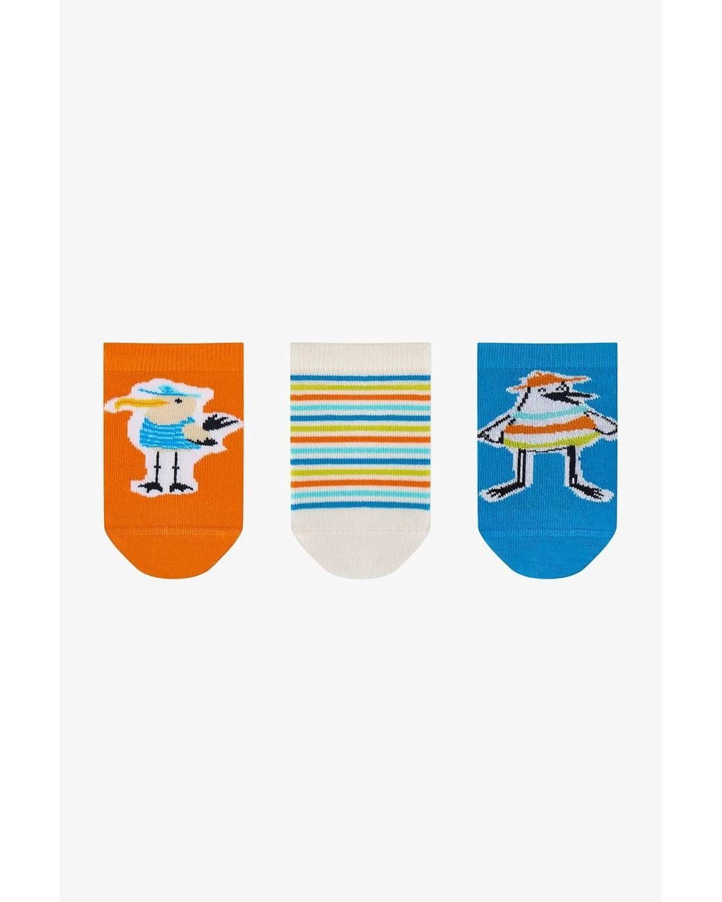 Penti Blue Striped Seagull Bird Pattern No-Show Socks
